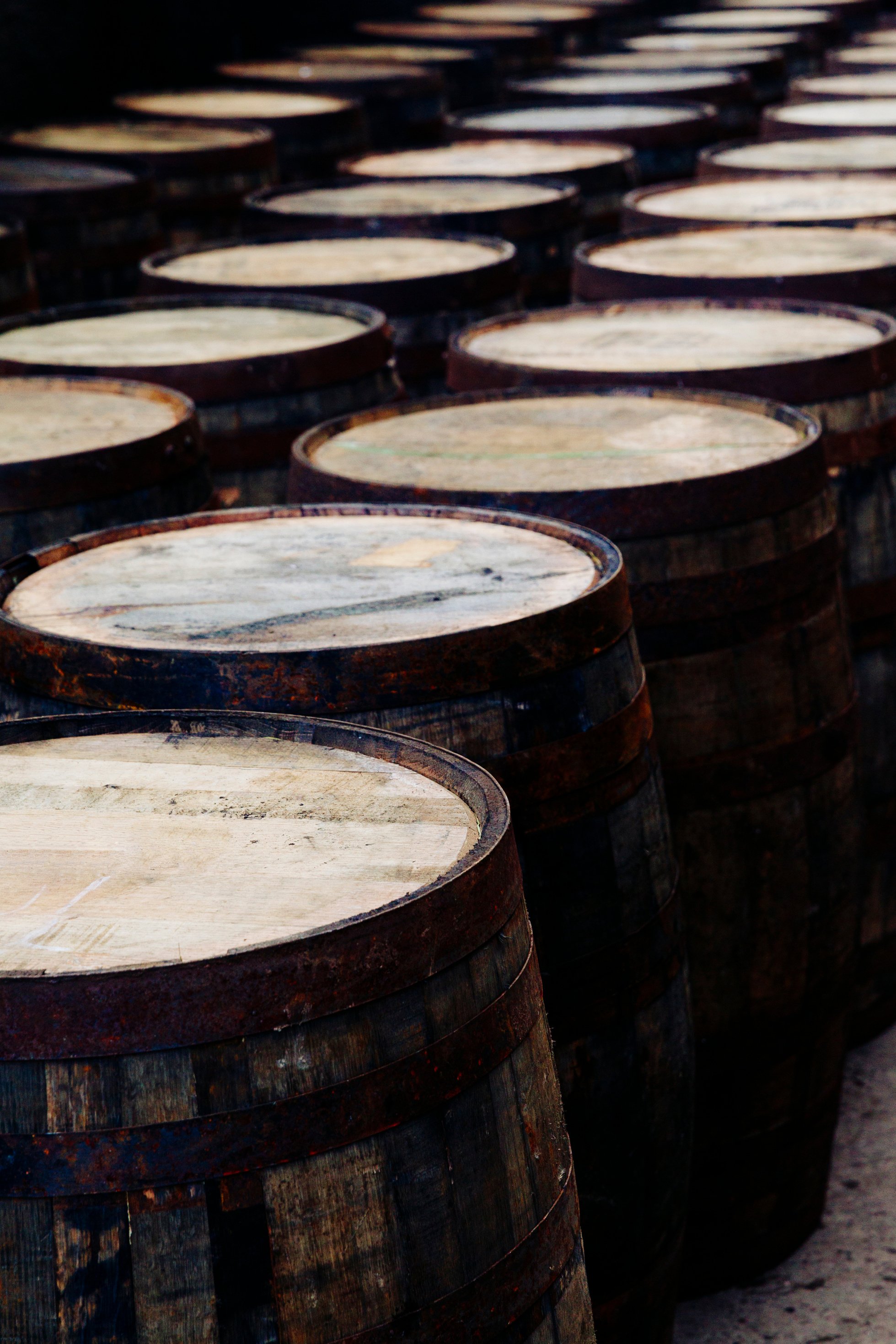 Row of whisky barrels